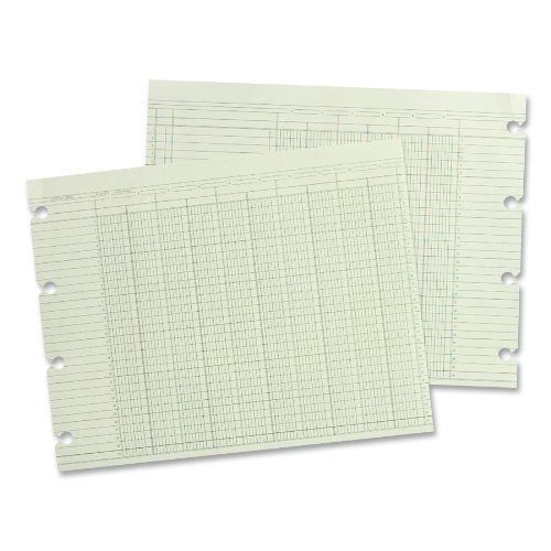 Wilson Jones Green Columnar Ruled Ledger Paper, Double Page Format, 16 Columns