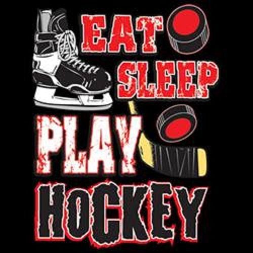 Play Hockey HEAT PRESS TRANSFER for T Shirt Tote Sweatshirt Quilt Fabric 754c