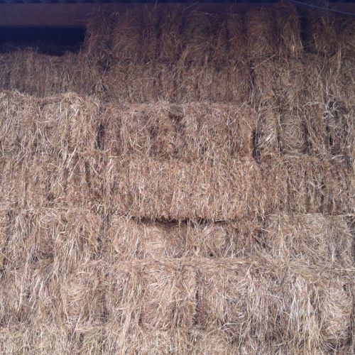 MEADOW HAY BALES !CAN DELIVER!