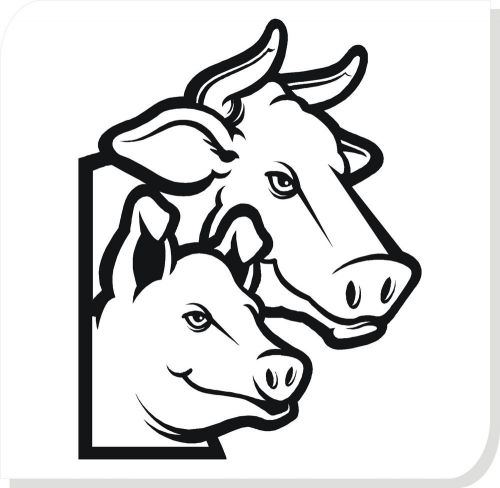 cow &amp; a pig face car vinyl sticker decals truck window bumper decor #60