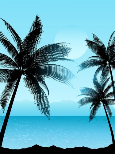 30 personalized return address beach palm trees buy 3 get 1 free (bp53) for sale