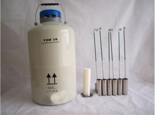 10 L Liquid Nitrogen Tank Cryogenic LN2 Container Dewar with Straps