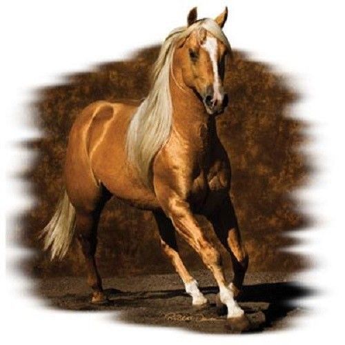 Golden Palomino Horse HEAT PRESS TRANSFER for Shirt Sweatshirt Tote Fabric  240