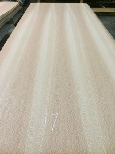 Wood Veneer American Sycamore 48x120 1pc total 10Mil Paper Backed &#034;EXOTIC&#034;WWF 17