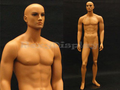 Tan skin young male mannequin dress from display #md-ham25 for sale