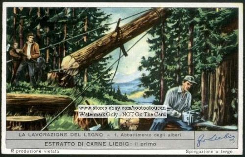 Old time loggers cutting timber 50 y/o card for sale