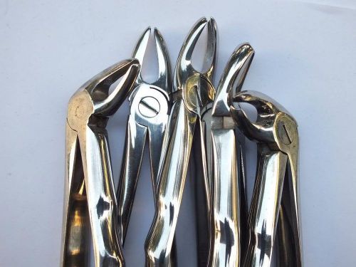 Premolors Molors Forceps Set of 5 ADDLER German Stainless