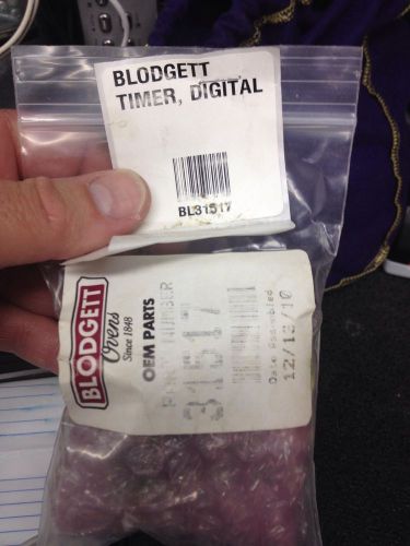 Blodget Digital Timer 31517