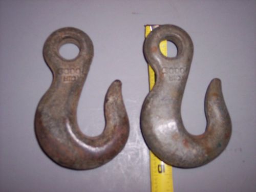 2  HOIST HOOKS 3000 LB