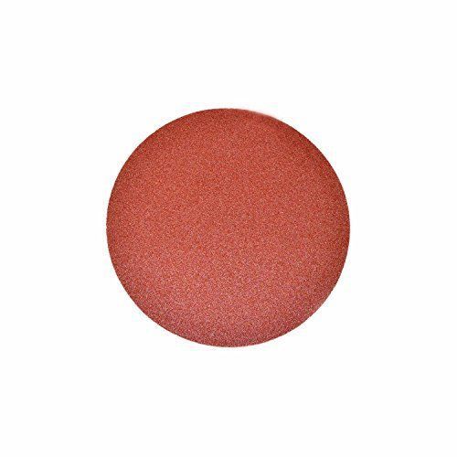 ALEKO 14SD01 10 PIECES 150 GRIT SANDPAPER DISCS 5 INCHES