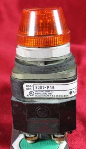 Allen Bradley 800T-P16 Pilot Lamp 120v 50/60Hz