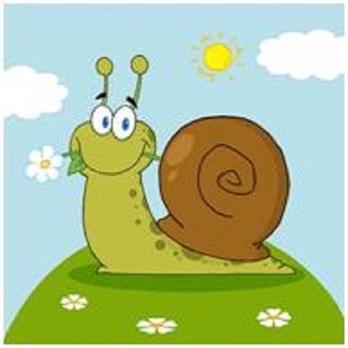 30 Custom Snail Personalized Address Labels