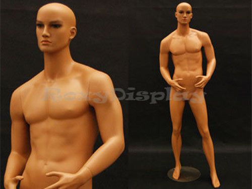 Tan skin young male mannequin dress from display #md-ham24 for sale