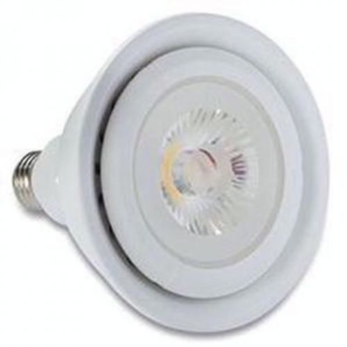 CS PAR38 W 3000K Bulb Rep 120W Light Bulbs 98388