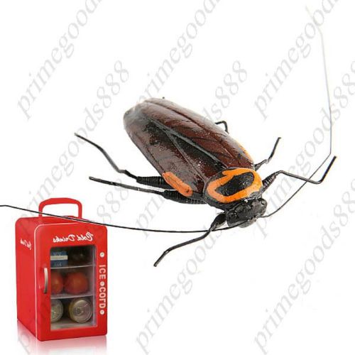 Creative Wooden Cockroach Pattern Home Decor Refrigerator Fridge Magnet Deal