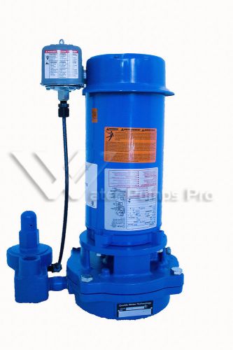 VJ10 GOULDS 1 HP VERTICAL DEEP WATER WELL JET PUMP 1 Stage