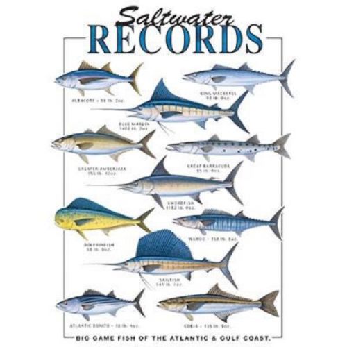 Saltwater Fish Record HEAT PRESS TRANSFER for  Shirt Tote Sweatshirt Fabric 248s