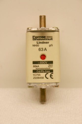 Ferraz Shawmut Lindner 1C755 Z228458 NH00 63A Fuse **XLNT**