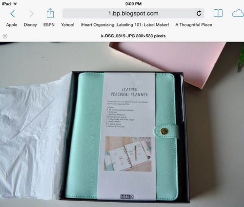 Kikki k Planner mint color