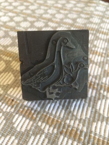 VINTAGE LETTERPRESS | GEESE OR DUCKS WILDLIFE | PRINT BLOCK