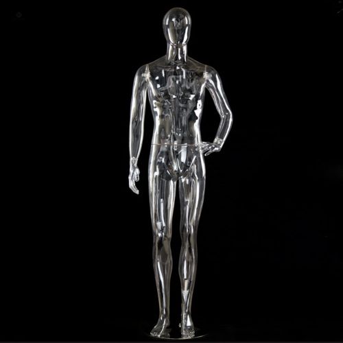 Body Transparency Egghead Men Mannequin~QianWan Displays