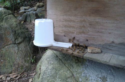 Beekeeping Entrance Feeder Beekeeper Equip Drink water