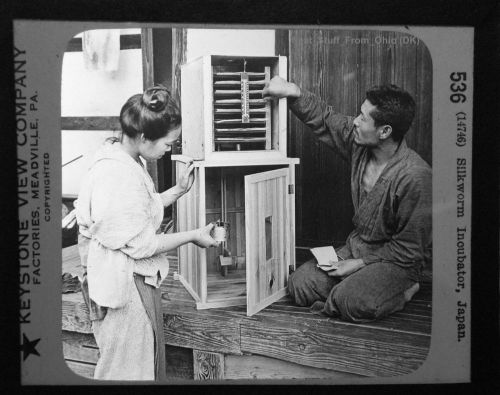 SILKWORM INCUBATOR, JAPAN - BLACK &amp; WHITE GLASS MAGIC LANTERN SLIDE