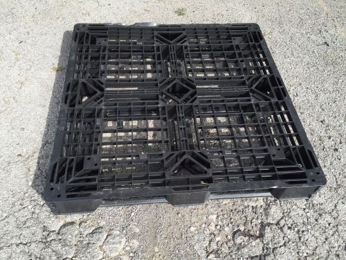 Lot of 50 Polypropylene Pallets