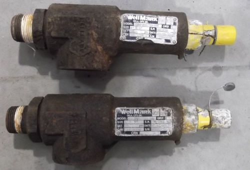 2 Wellmark Safety Relief Valves Model W2601-ev1-311-150