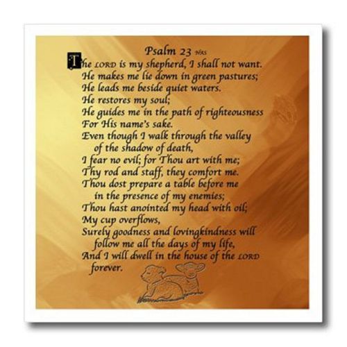 3drose ht_58716_1 psalm 23 the lord is my shepherd heat transfer 8x8&#034;- h15 100a for sale