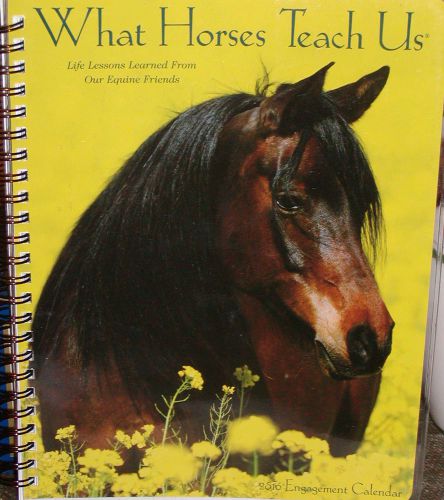 What HorsesTeach Us,2016 Engagement Calendar