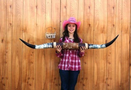 STEER LONG HORNS 4&#039; 10&#034; NO SKULL SKULLS HORN COW BULL LH1422