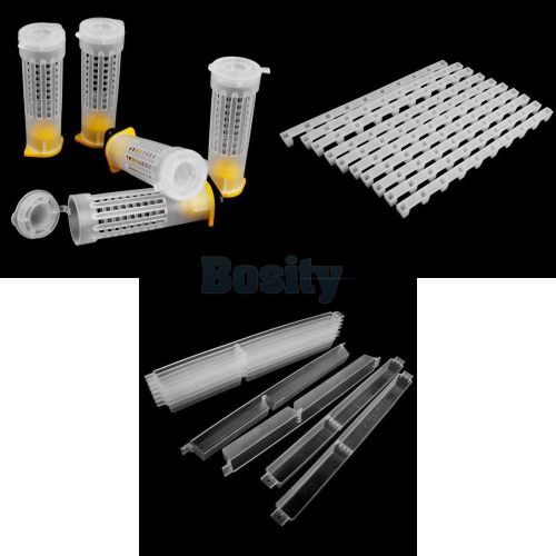 Beekeeping Rearing Cupkit Frame End/ Spacer Tool, Bee Entrance Feeders Hive Tool