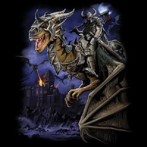 Dragon Master HEAT PRESS TRANSFER for T Shirt Sweatshirt Quilt Fabric 722o