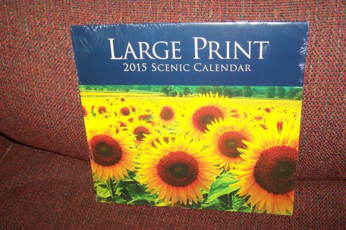 2015 CALENDAR-2015 LARGE PRINT / PLANNING CALENDAR- NEW IN PLASTIC WRAP