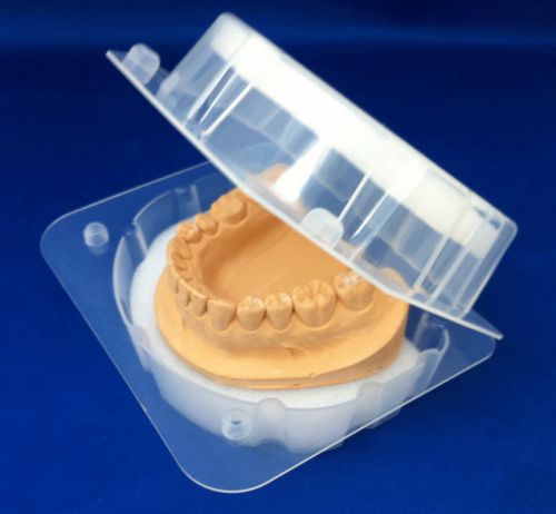 Model &amp; Denture Box, Pack of 100