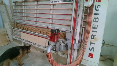 Striebig Compact TRK panel saw