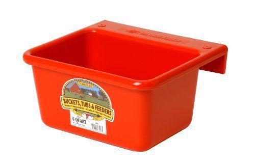 Little Giant6 Quart Red Mini Feeder  MF6-RED