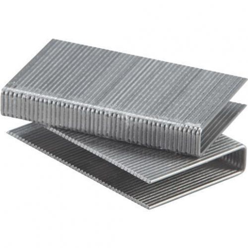 500PK 2&#034; FLOORING STAPLE BCS1516-SQ