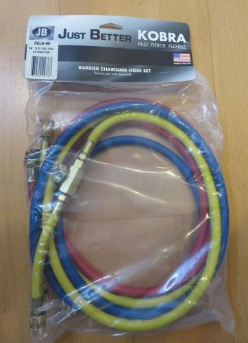 JB Environmental 134A Refrigerant Charging Hoses CCLA-60 Automotive