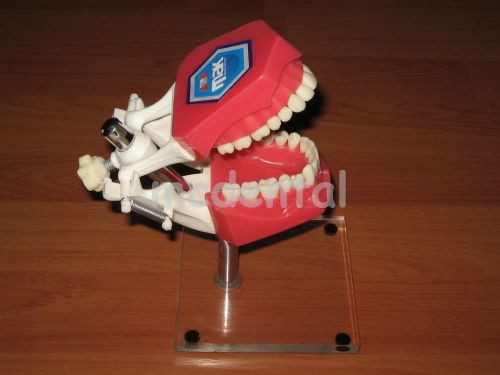 NEW DENTAL MOUNT POLE TYPODONT DENTOFORM TEETH TOOTH MODEL