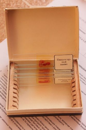 histology slides 6 pieces placental polyp USSR