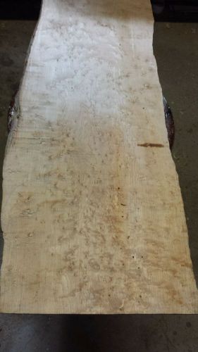 Live edge Birdseye maple AAA figured 30 &#034; x 10-12 x 5/8&#034; 30 years old!