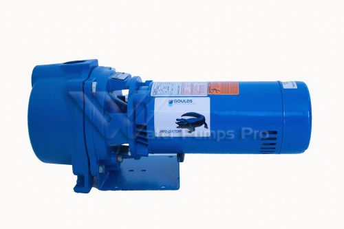 Gt20 goulds gt-20 sprinkler irrigation surface water well pump  2hp 230v for sale