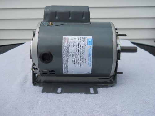 Weg Electric Motor