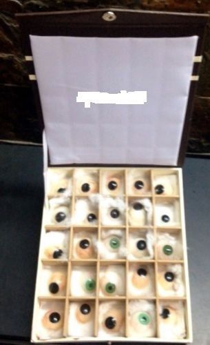 Super Quality Artificial Eyes-25 Pieces Prosthetic Eyes Set FREE SHIPi