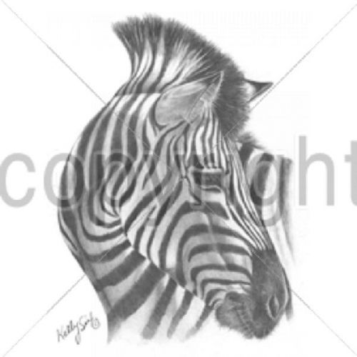 Zebra Portrait HEAT PRESS TRANSFER for T Shirt Sweatshirt Tote Bag Fabric #270a