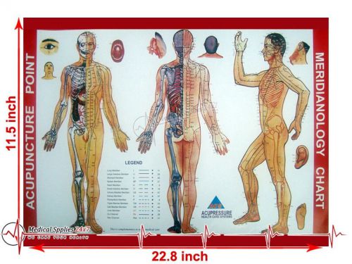 Acupressure Meridianology Chart Use - Academics, Teaching &amp; Educational Purposes