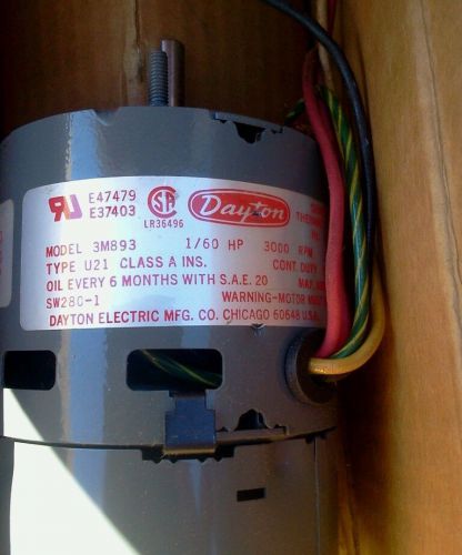 DAYTON 3M893 SWITCH MOTOR 1/60 HP