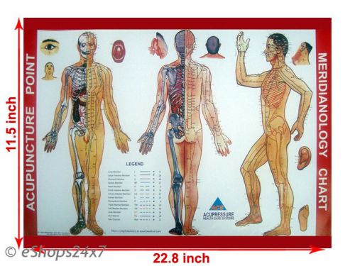 Acupressure Meridianology Chart Sujok Quick Study Academics Teaching Educational